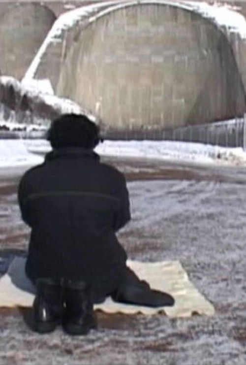 L'Immigré (2005) poster