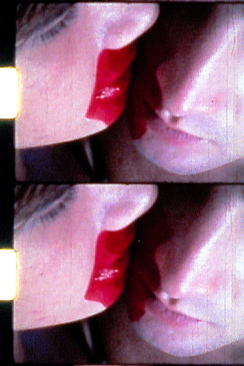 In contextus (1976) poster