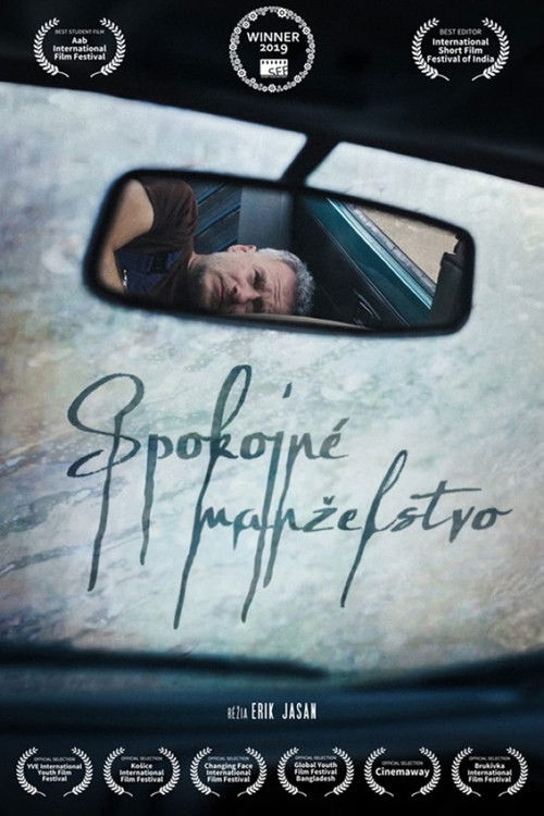 Happy Marriage (2019) poster