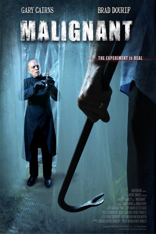 Malignant (2013) poster