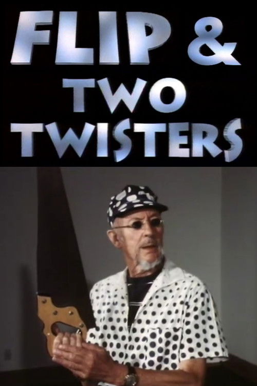 Flip & Two Twisters (1995) poster