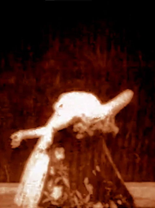 Karina, Specialty Dancer (1898) poster