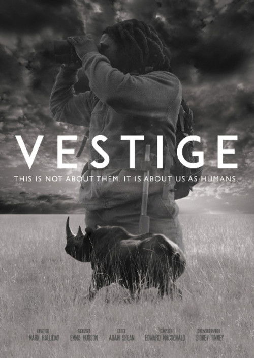 Vestige (2019) poster