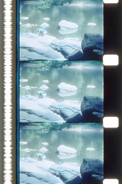 Patience (1970) poster