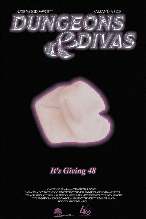 Dungeons & Divas (2024) poster