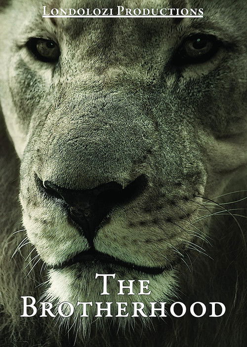 The Brotherhood (2000) poster