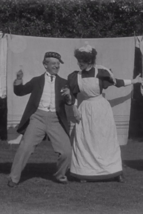 Hanging Out the Clothes (1897) poster