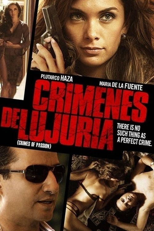 Crimes of Passion (2011) poster