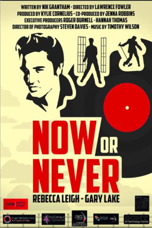 Now or Never (2013) poster