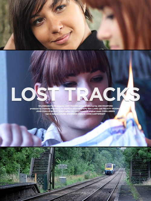 Lost Tracks (2011) poster