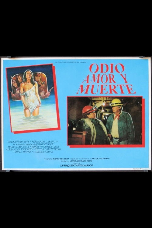 Odio, amor y muerte (1993) poster