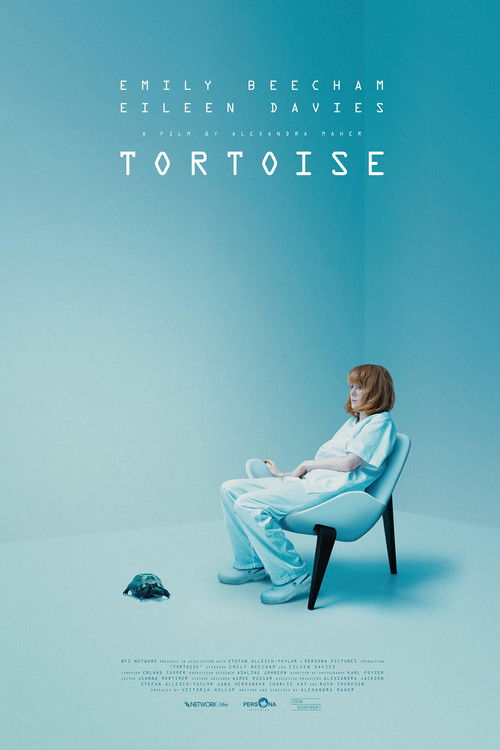 Tortoise (2021) poster
