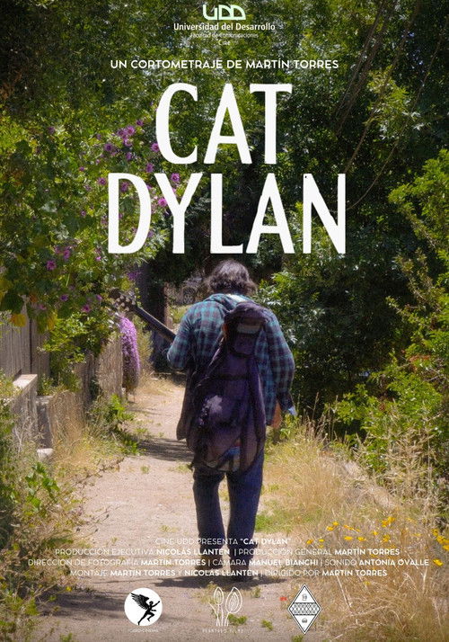 Cat Dylan poster