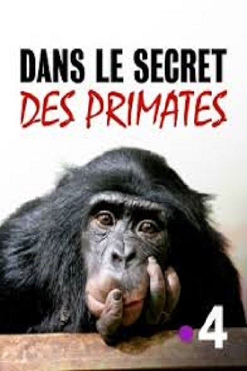 Dans le secret des primates (2020) poster