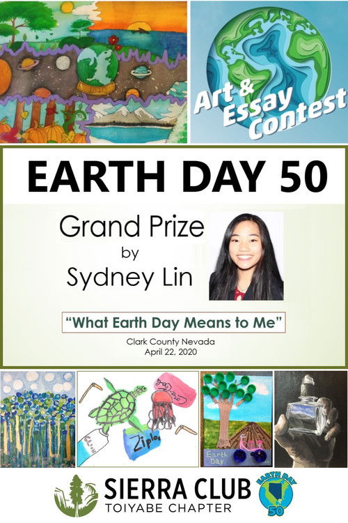 Earth Day 50 Grand Prize (2020) poster
