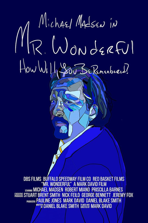 Mr. Wonderful (2026) poster