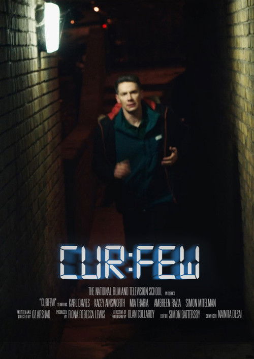 CUR:FEW (2018) poster