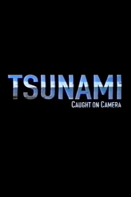 Tsunami: Caught on Camera (2009) poster