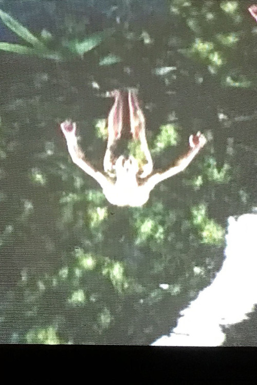 VerveS sulle OndE (1991) poster