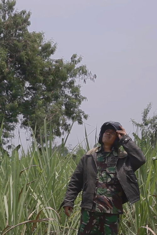 The Travelling Period (2016) poster