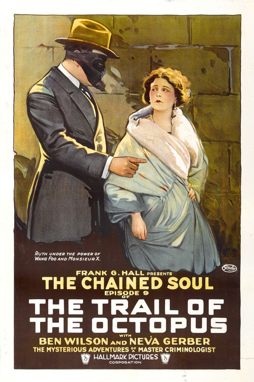 The Trail of the Octopus (1919) poster