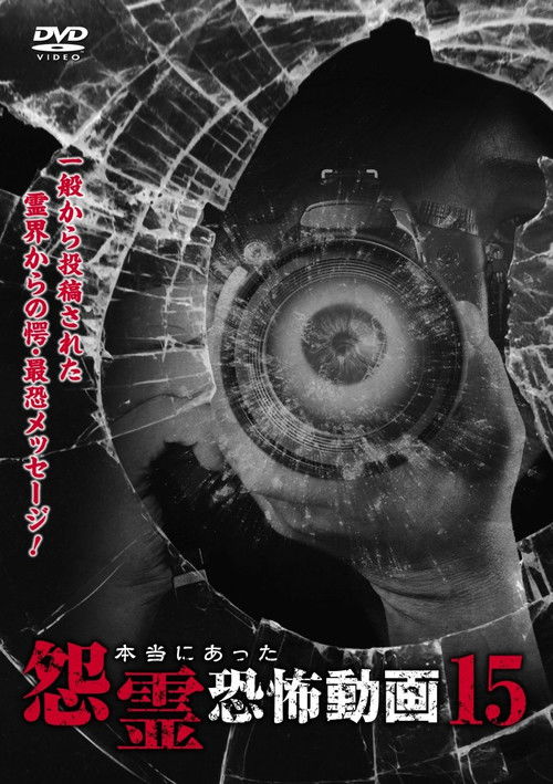 Real Vengeful Ghost Horror Video 15 (2016) poster