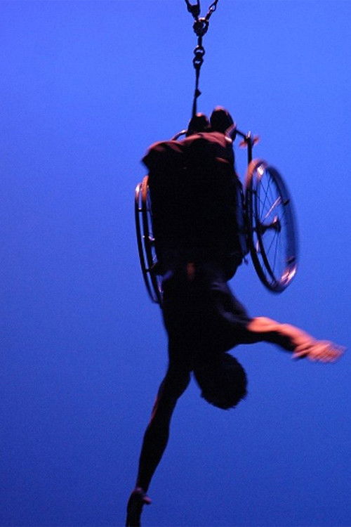 Sins Invalid: An Unshamed Claim to Beauty (2013) poster