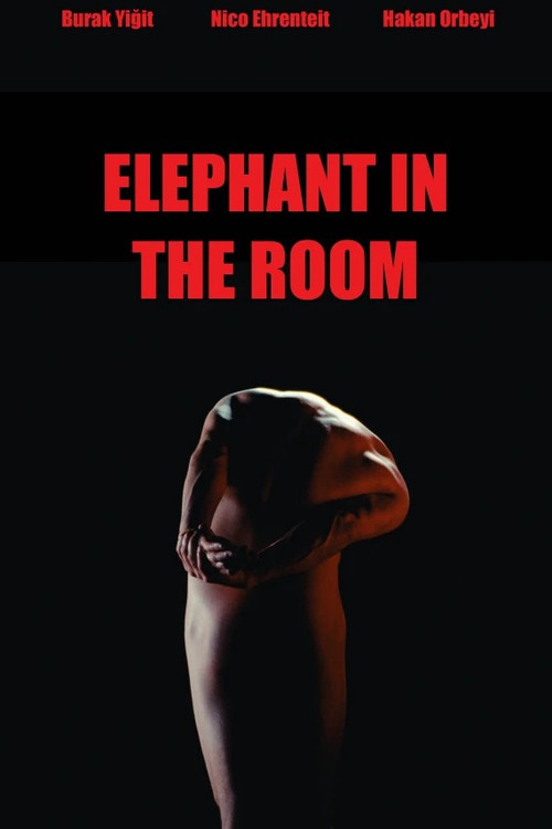Elephant in the Room (2025) poster