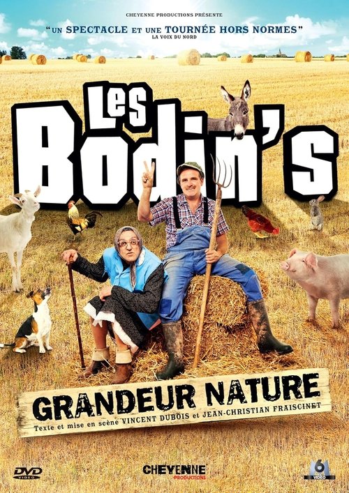Les Bodin's - Grandeur Nature (2019) poster