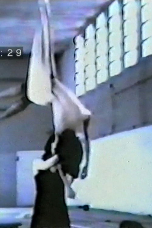 Folgorazioni (1986) poster