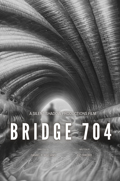 Bridge 704 (2026) poster