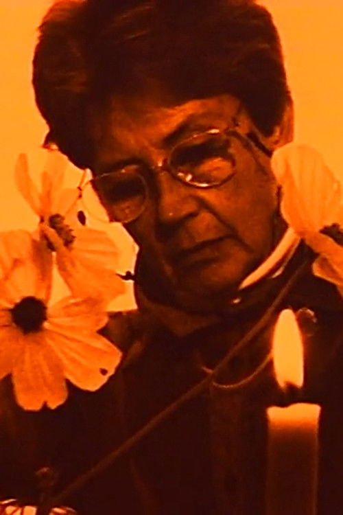 Star of Day (1993) poster