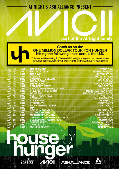 Avicii on Tour (2013) poster