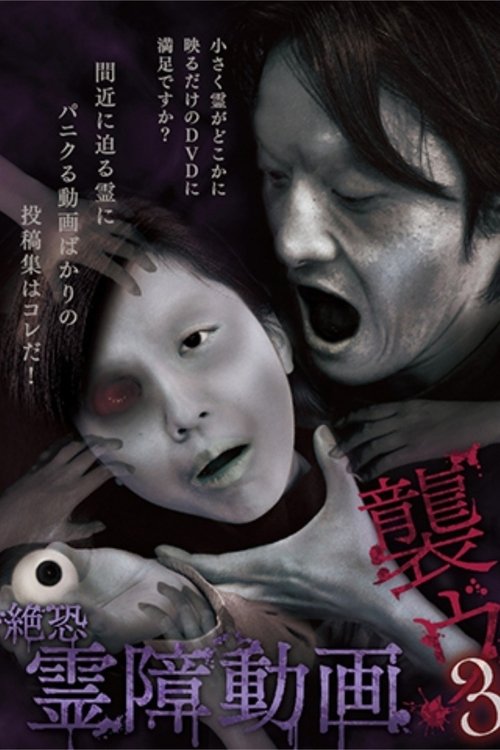 Terrifying Spirit Disturbance Video: Attack 3 (2014) poster