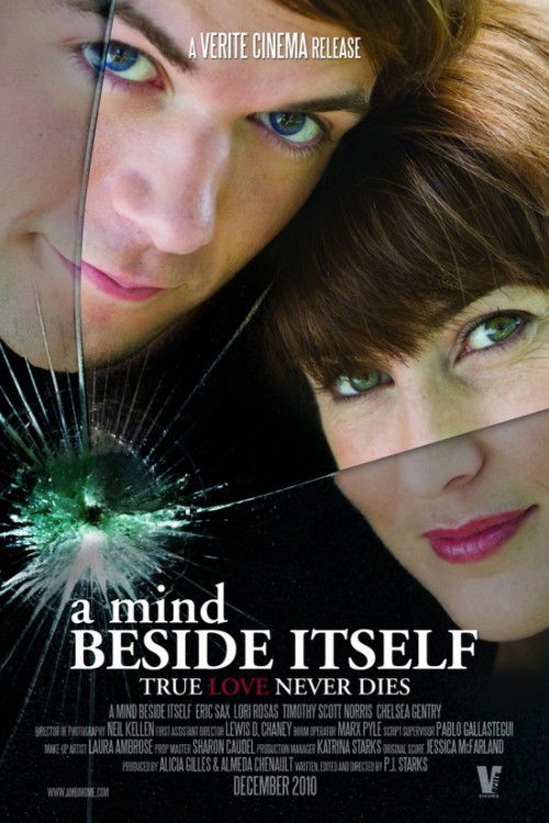 A Mind Beside Itself (2011) poster