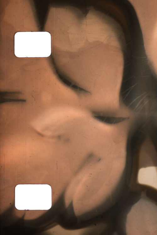 Phytography (2020) poster