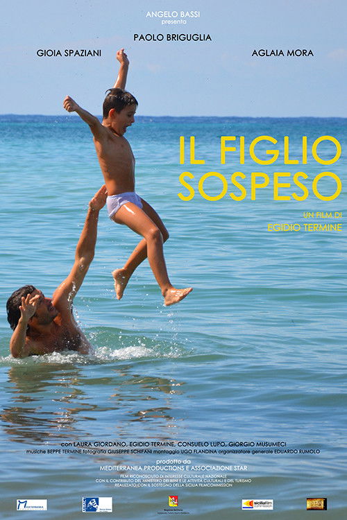 Il figlio sospeso (2017) poster