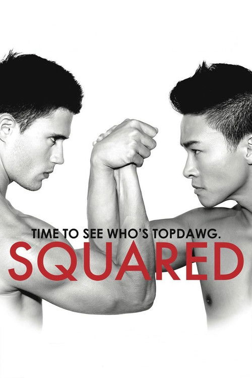 Squared (2014) poster