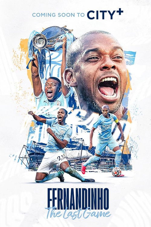 Fernandinho: The Last Game (2024) poster