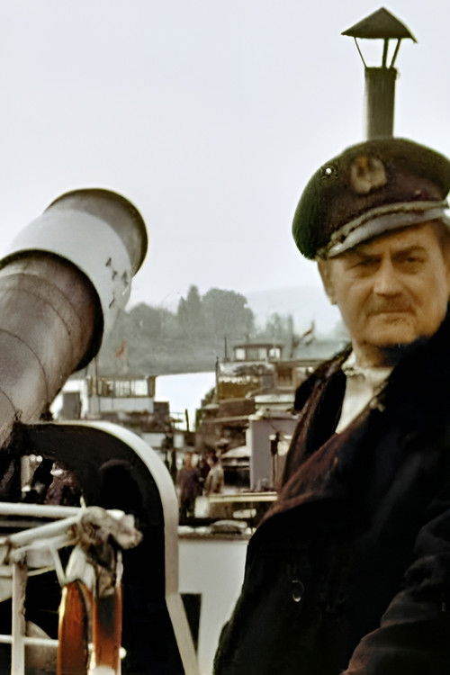 Uppför Donau (1970) poster