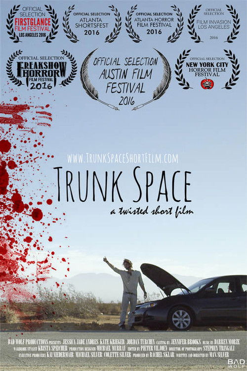 Trunk Space (2016) poster