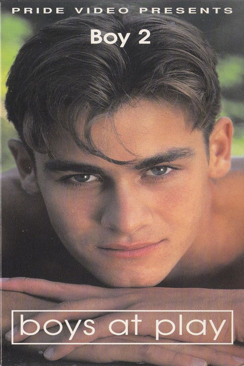 Boy 2: Boys At Play (1995) poster