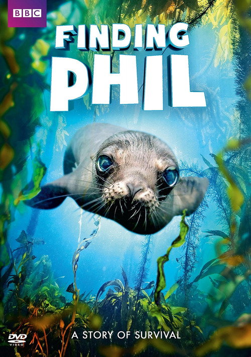 Finding Phil (2016) poster