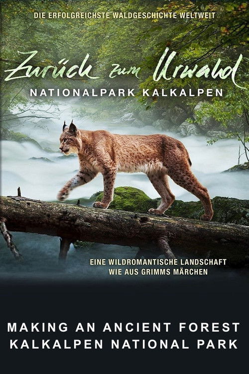 Making An Ancient Forest - Kalkalpen National Park (2015) poster