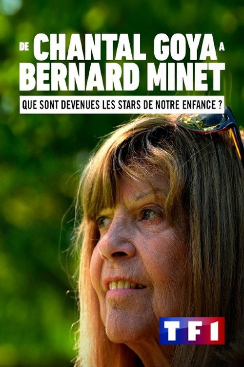 De Chantal Goya à Bernard Minet : Que sont devenues les stars de notre enfance ? (2023) poster