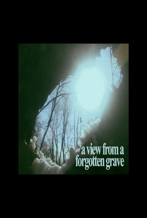 A View From A Forgotten Grave (2024) poster
