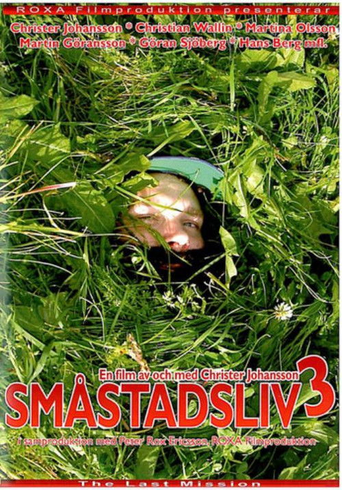 Småstadsliv 3 (2010) poster