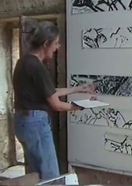 Flora Natapoff - An American Painter (1999) poster