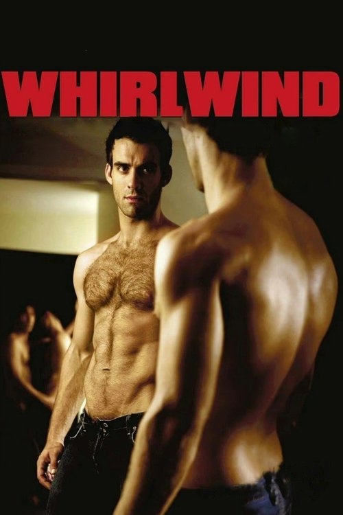 Whirlwind (2007) poster