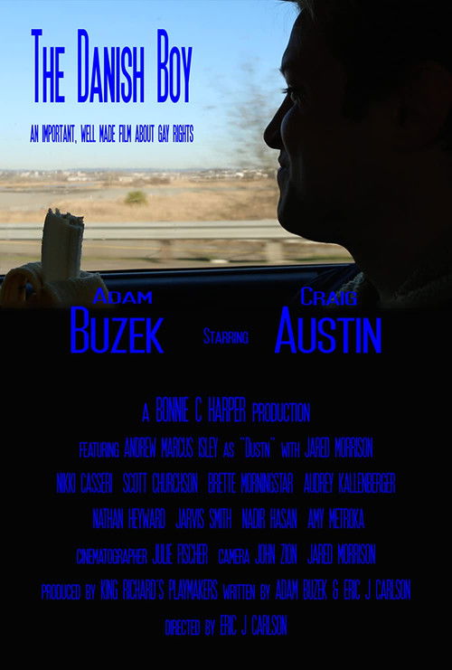 The Danish Boy (2018) poster